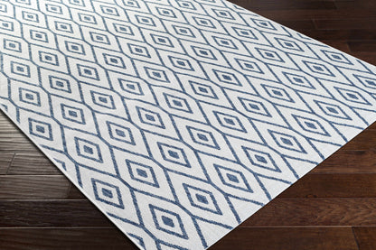 Eagean EAG-2391 Machine Woven Rug