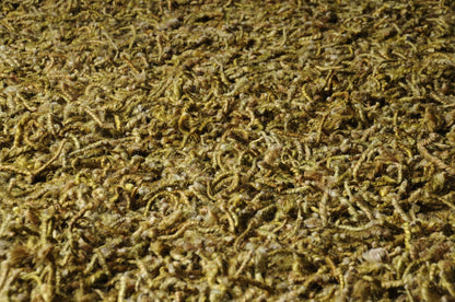 Quito QUI-1005 Hand Woven Rug