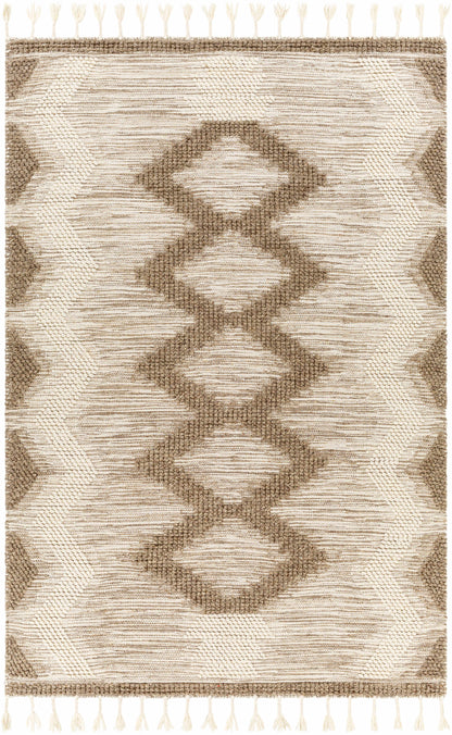 Norwood NWD-2310 Hand Woven Rug