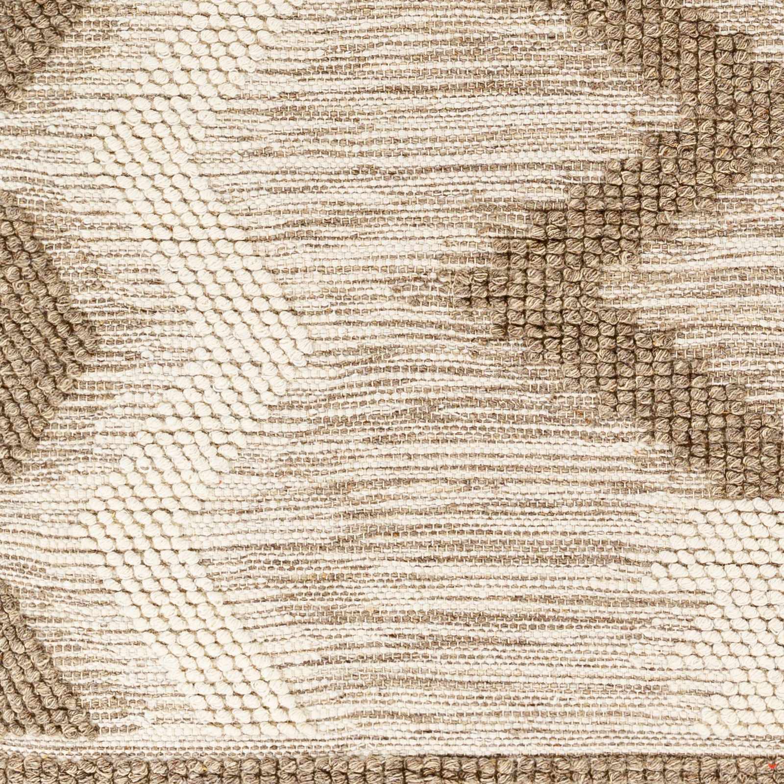 Norwood NWD-2310 Hand Woven Rug