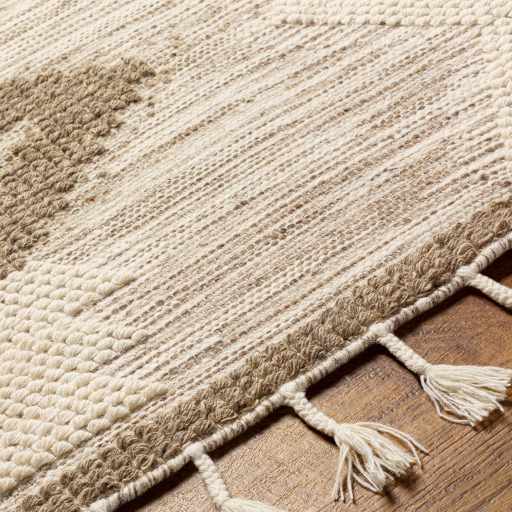 Norwood NWD-2310 Hand Woven Rug