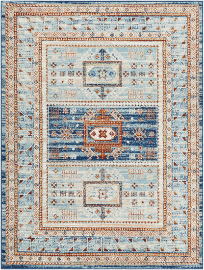 Tevazu TVZ-2305 Machine Woven Rug