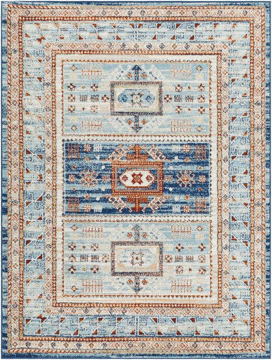 Tevazu TVZ-2305 Machine Woven Rug
