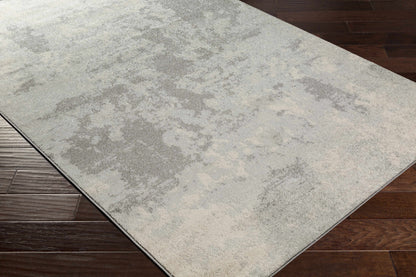 Chester CHE-2320 Machine Woven Rug