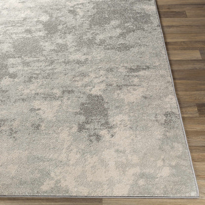 Chester CHE-2320 Machine Woven Rug