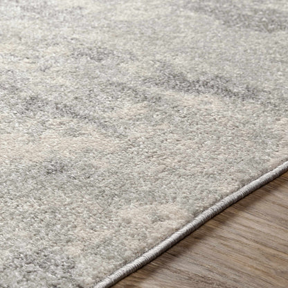 Chester CHE-2320 Machine Woven Rug