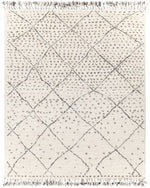 Meknes MEK-1004 Hand Knotted Rug