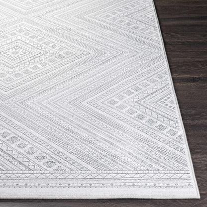 Contempo CPO-3857 Machine Woven Rug