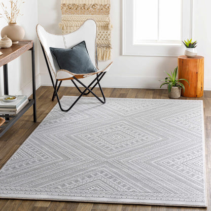 Contempo CPO-3857 Machine Woven Rug