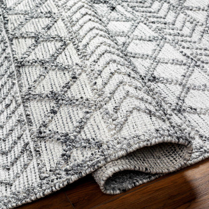 Napoli NPO-2311 Hand Woven Rug