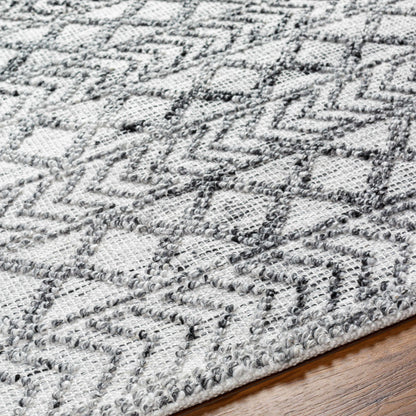 Napoli NPO-2311 Hand Woven Rug