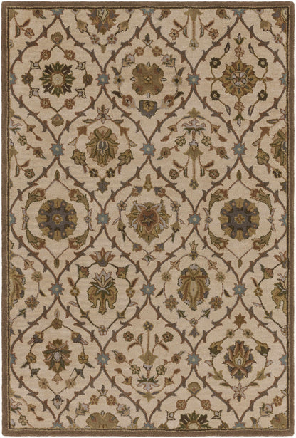 Middleton AWMD-2111 Area Rug