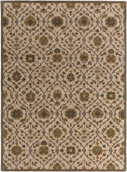 Middleton AWMD-2111 Area Rug