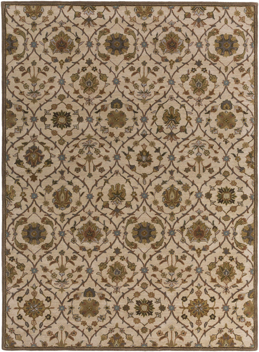 Middleton AWMD-2111 Area Rug