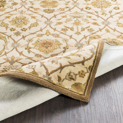 Middleton AWMD-2111 Area Rug