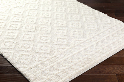 Rodos RDO-2336 Machine Woven Rug