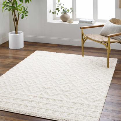 Rodos RDO-2336 Machine Woven Rug