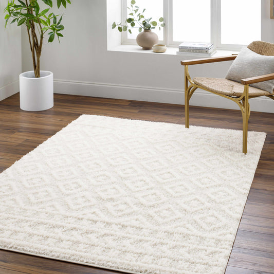 Rodos RDO-2336 Machine Woven Rug