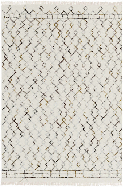 Cream Hand Woven 80% Wool, 20% Viscose Global Rectangle Handmade rug, Indoor use only, has fringe, non-washable.