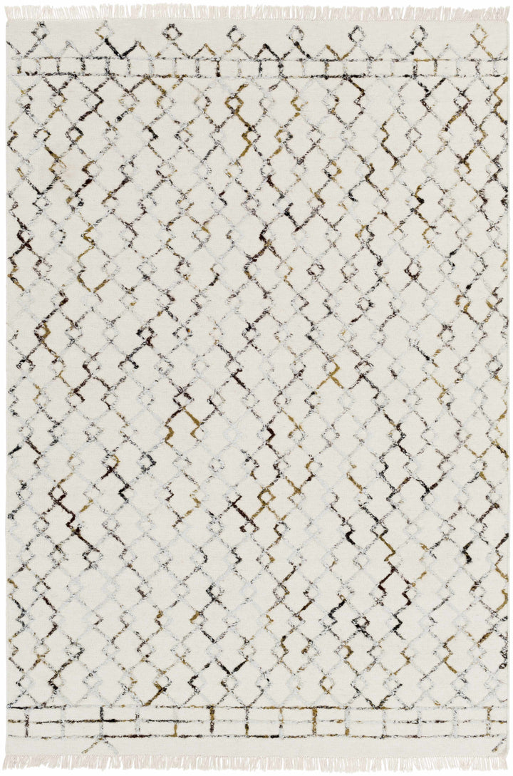 Cream Hand Woven 80% Wool, 20% Viscose Global Rectangle Handmade rug, Indoor use only, has fringe, non-washable.
