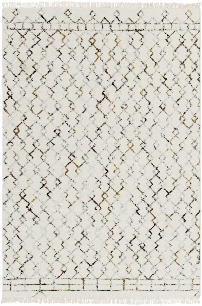 Cream Hand Woven 80% Wool, 20% Viscose Global Rectangle Handmade rug, Indoor use only, has fringe, non-washable.
