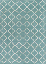 Frontier FT-221 Hand Woven Rug