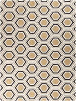 Fallon FAL-1039 Hand Woven Rug