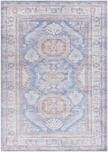 Amelie AML-2317 Machine Woven Rug