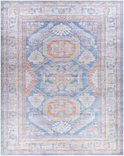 Amelie AML-2317 Machine Woven Rug