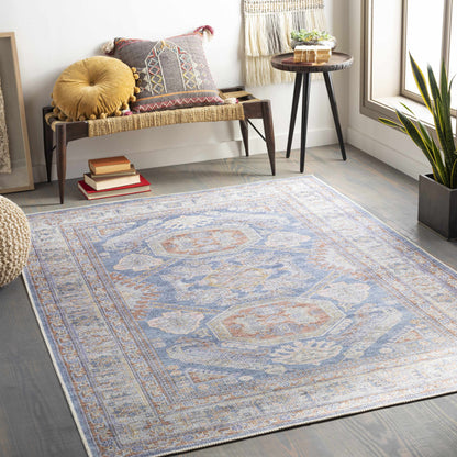 Amelie AML-2317 Machine Woven Rug