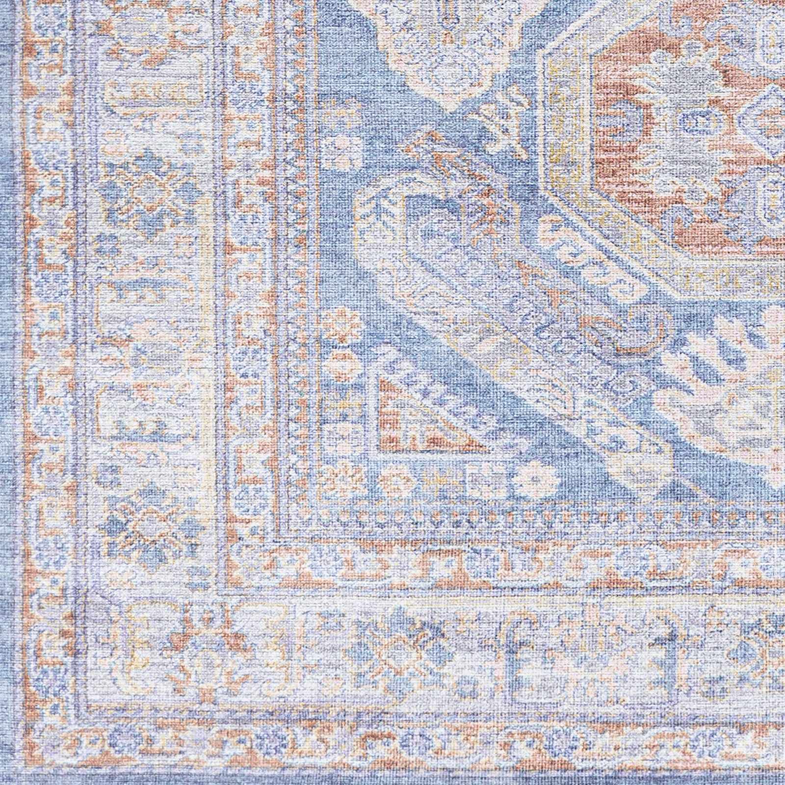 Amelie AML-2317 Machine Woven Rug