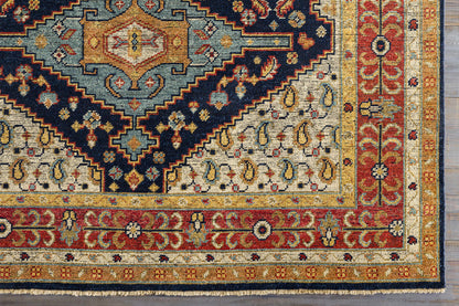 Reign REG-2300 Hand Knotted Rug