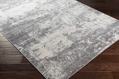 Chester CHE-2348 Machine Woven Rug