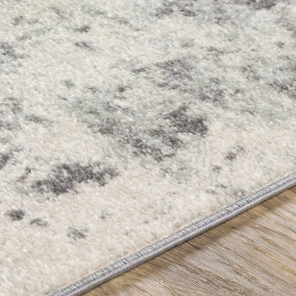 Chester CHE-2348 Machine Woven Rug