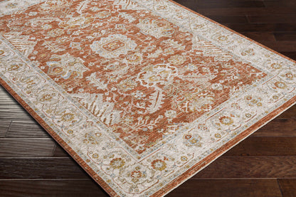 Avant Garde AVT-2317 Machine Woven Rug