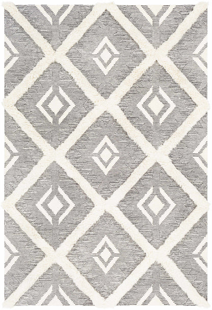 Cherokee CHK-2303 Hand Tufted Rug