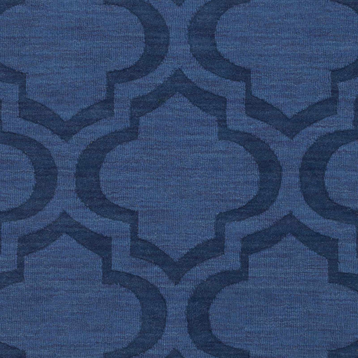 Central Park AWHP-4008 Hand Loomed Rug