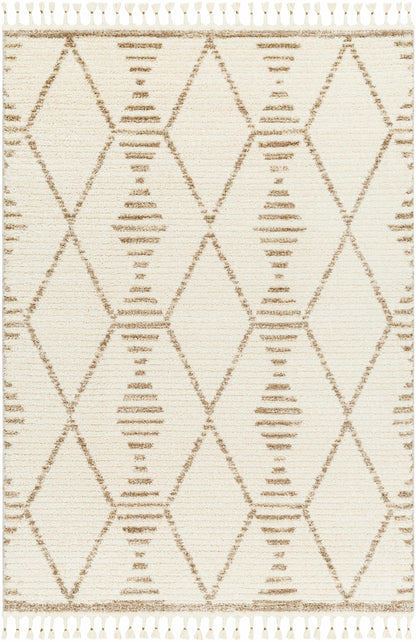 Valencia VLC-2319 Machine Woven Rug