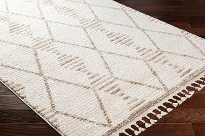 Valencia VLC-2319 Machine Woven Rug