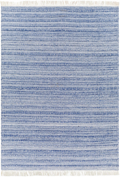 Blue Hand Woven 100% Recycled PET Yarn Modern Rectangle Handmade rug, Indoor use only, has fringe, non-washable. runner also available