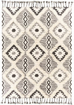Apache APA-2303 Hand Woven Rug