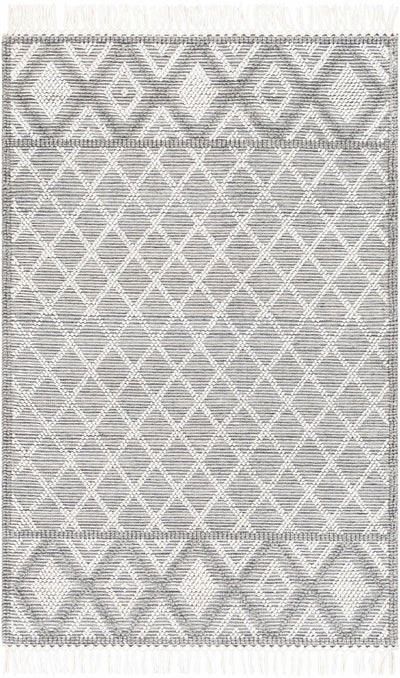 Slate Hand Woven 100% Recycled PET Yarn Global Rectangle Handmade rug, Indoor use only, has fringe, non-washable.