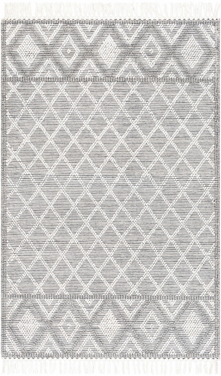 Slate Hand Woven 100% Recycled PET Yarn Global Rectangle Handmade rug, Indoor use only, has fringe, non-washable.