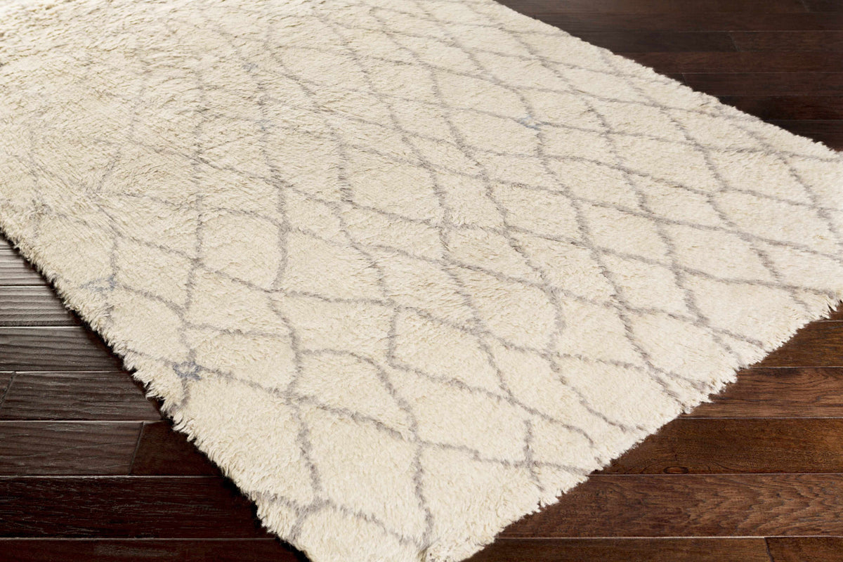 Rugs : DEN-5004