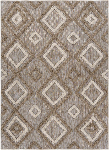 Toledo TLD-2305 Machine Woven Rug