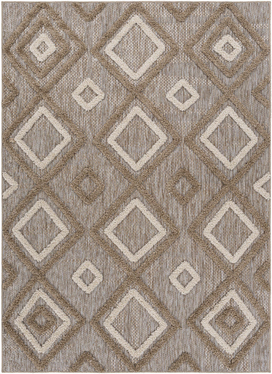 Toledo TLD-2305 Machine Woven Rug