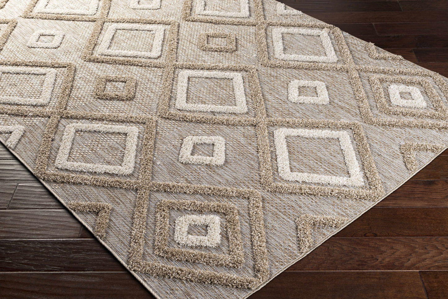 Toledo TLD-2305 Machine Woven Rug