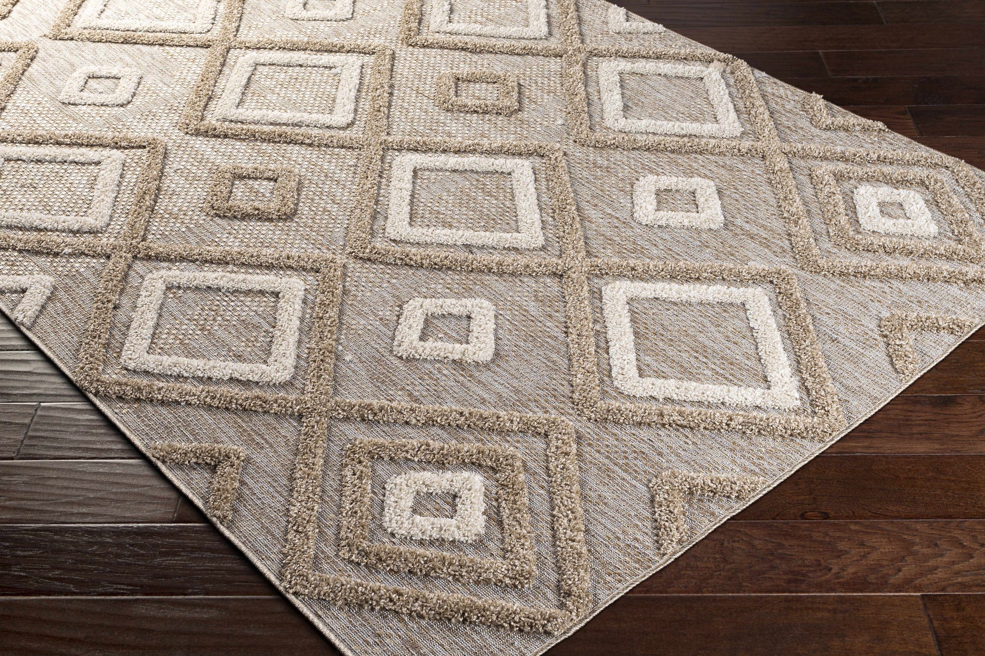 Toledo TLD-2305 Machine Woven Rug