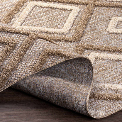 Toledo TLD-2305 Machine Woven Rug