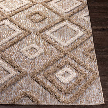 Toledo TLD-2305 Machine Woven Rug